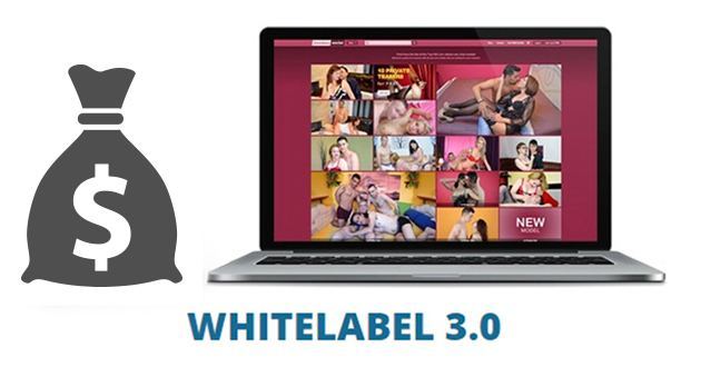 How do you make money with your WL3?